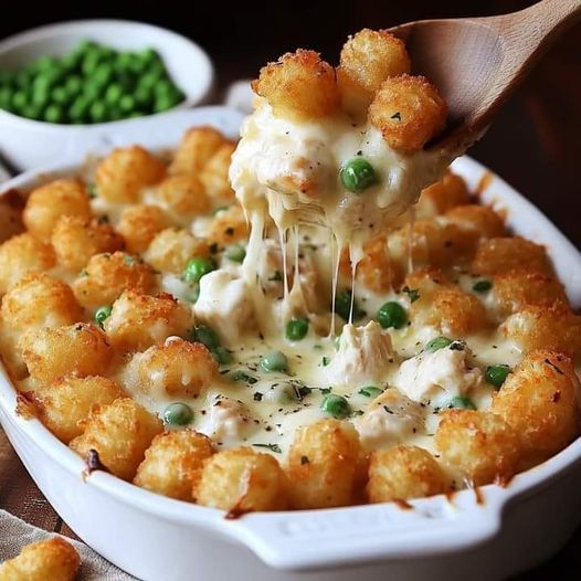 Casseruola cremosa e saporita di pollo Alfredo Tater Tot