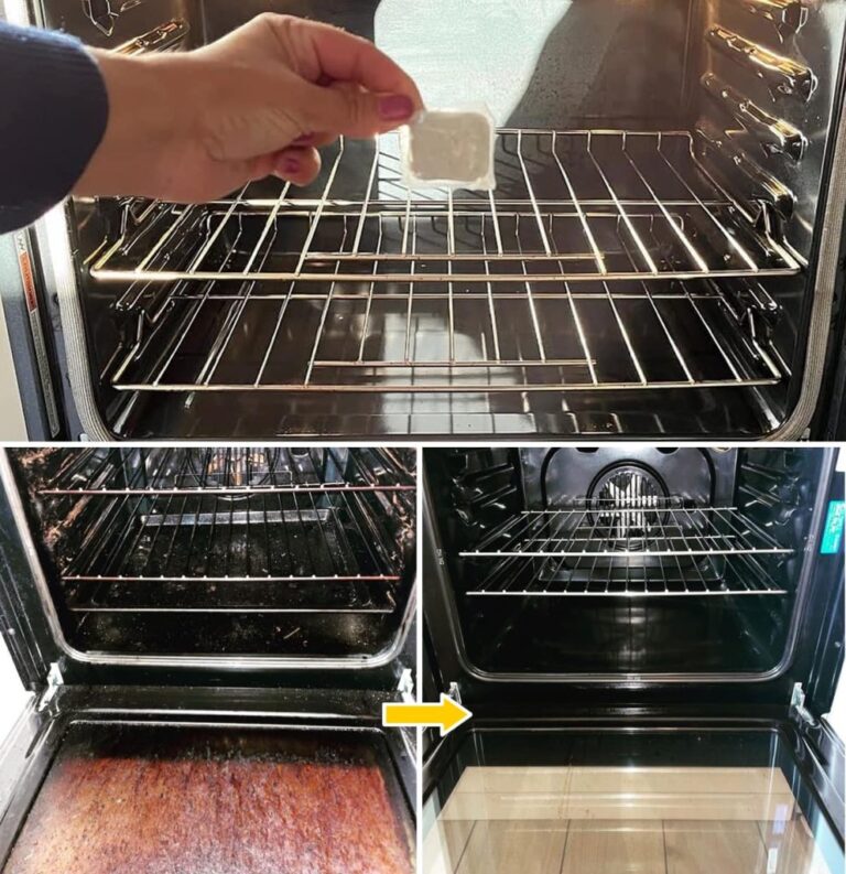 Come togliere l’olio bruciato dal forno senza fatica e senza usare prodotti chimici