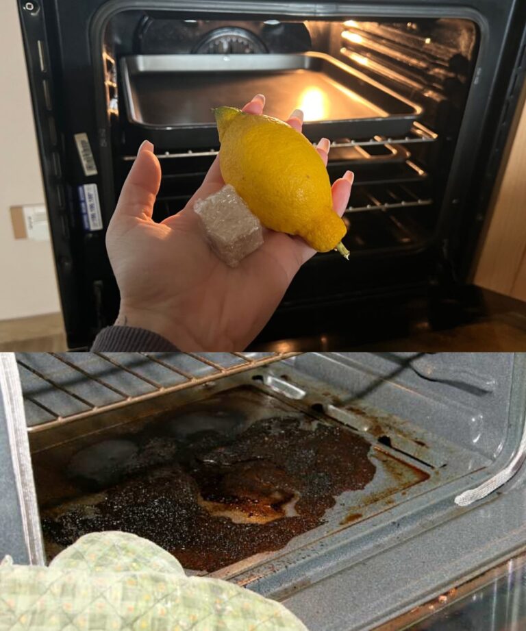 SE VOLETE CHE IL VOSTRO FORNO SIA PULITO E PROFUMATO, USATE QUESTI DUE INGREDIENTI DOPO OGNI UTILIZZO