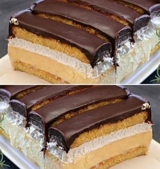 Dessert cremoso con panna montata, biscotti e glassa al cioccolato: torta senza cottura