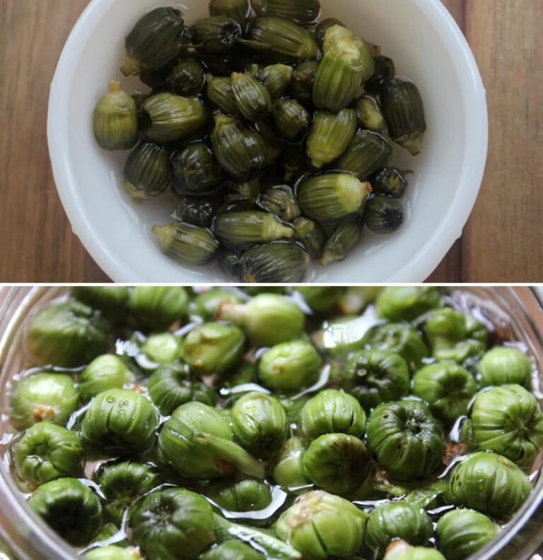 Come preparare i “capperi” di tarassaco: gustosi e sani