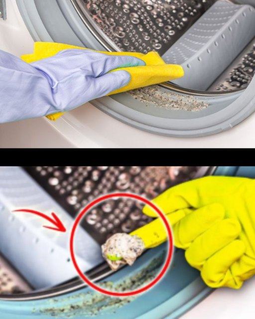 Come pulire la gomma della lavatrice per farla sembrare nuova Facilissimo!