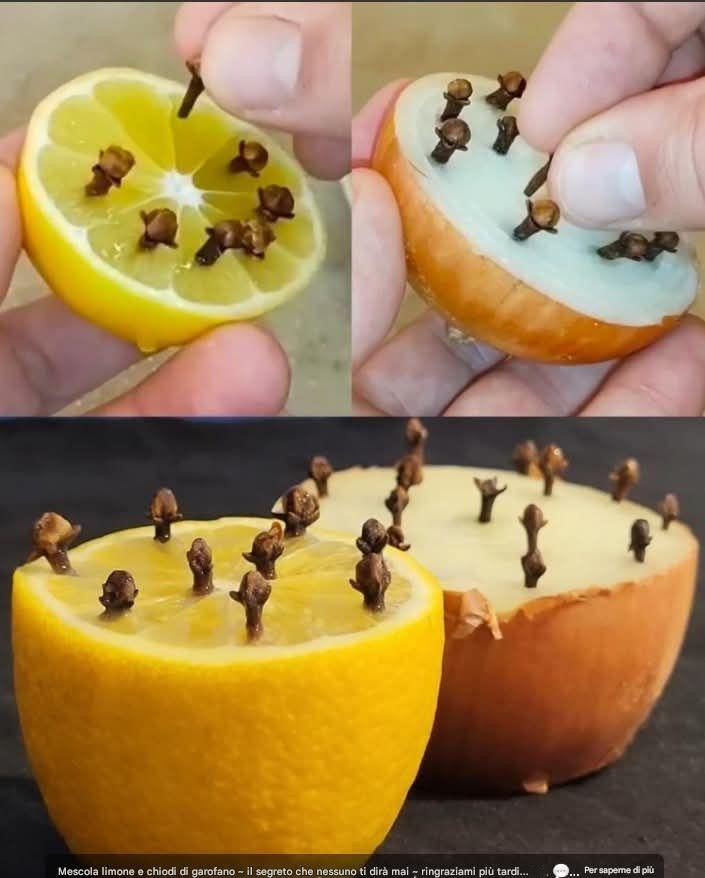 Titolo: Chiodi di garofano, limone e cipolla: il trio naturale per il benessere e una casa più fresca
