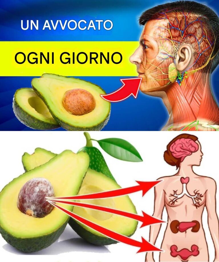 Non mangiare avocado finché non conosci questi 9 fatti