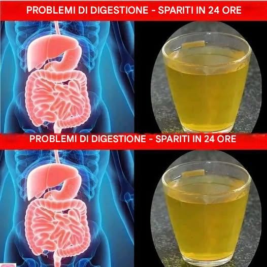 10 modi per migliorare il tuo sistema digerente: ottieni una spinta naturale e immediata