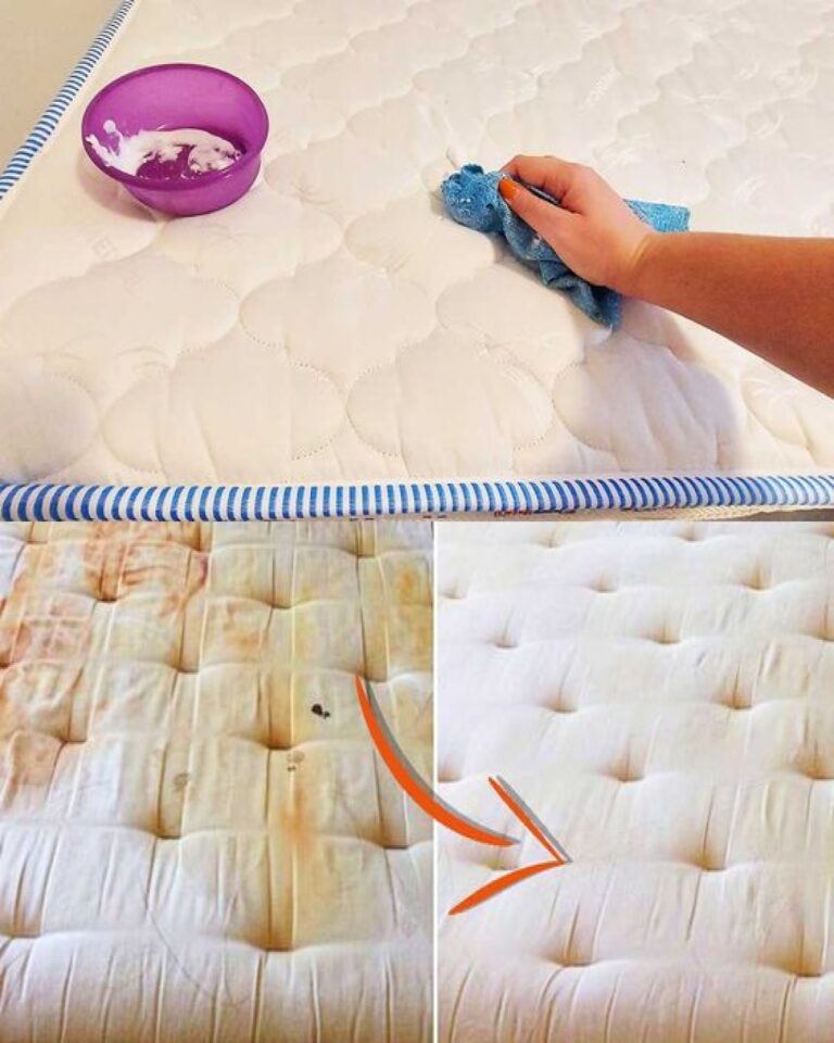 3 consigli fai da te per la pulizia a secco e la disinfezione di un materasso