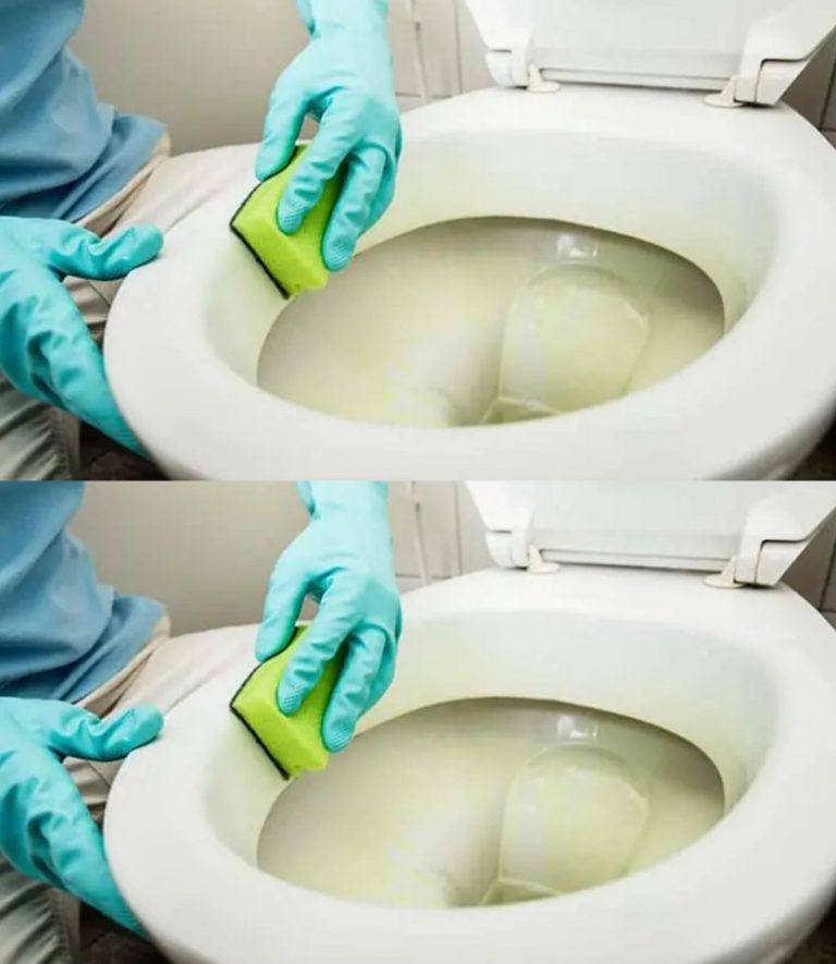 Come rimuovere le macchie di calcare dal water e farlo tornare come nuovo