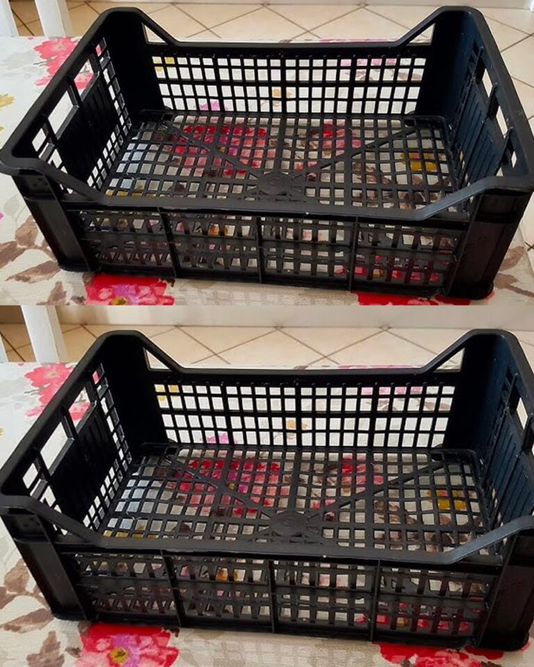 Come arredare il giardino a costo zero: 7 idee fai da te per un riciclo creativo