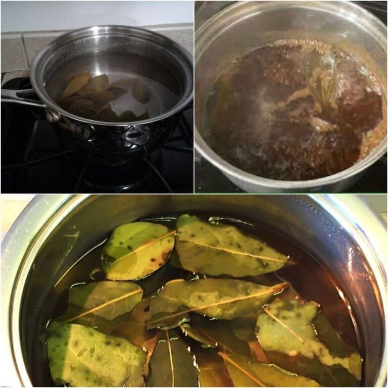 I meravigliosi benefici delle foglie di alloro per la tua salute