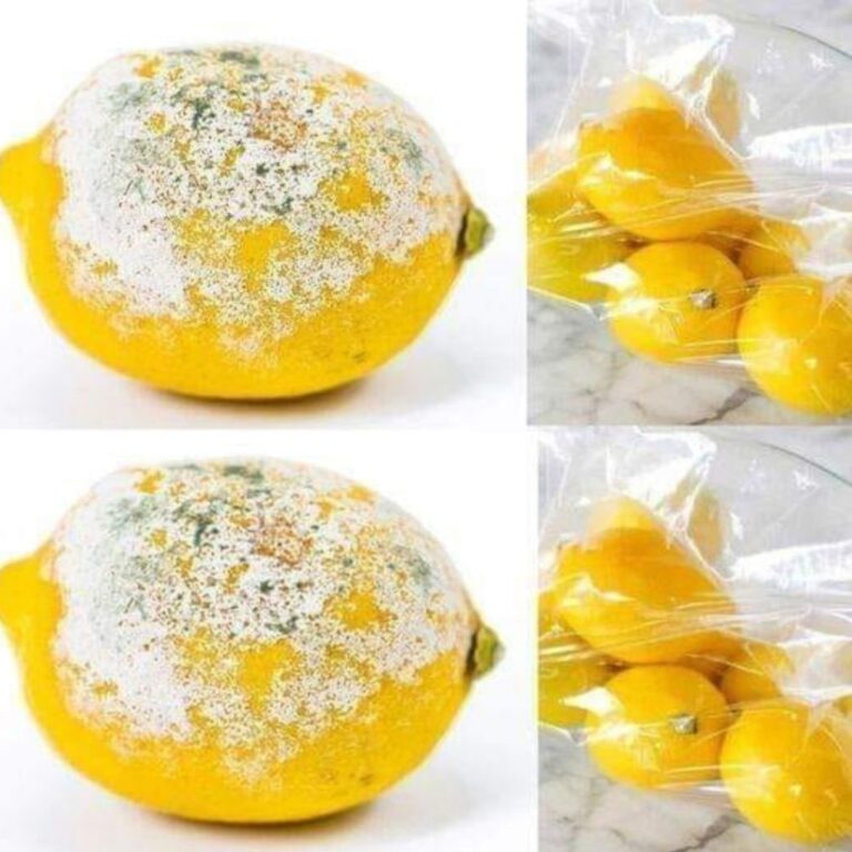 Come conservare i limoni per farli durare più a lungo?