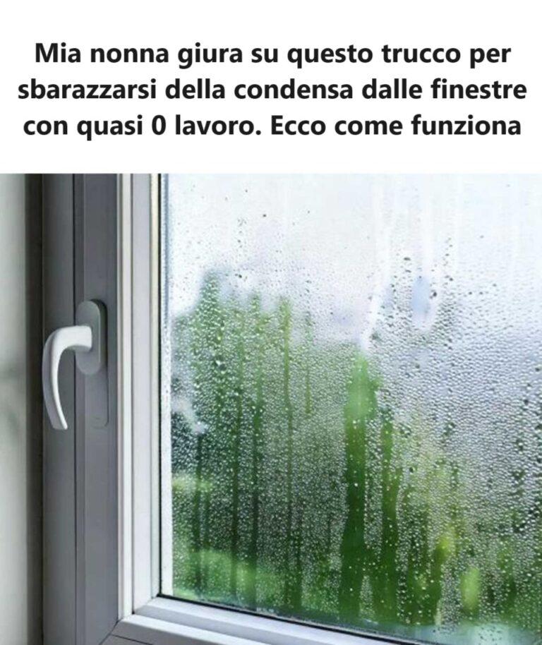 Non posso credere di non averci pensato