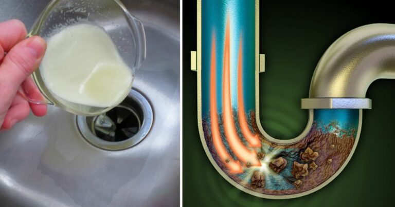 Come Sturare lo Scarico in Casa: Metodi Fai-da-Te per Tubi Sempre Puliti