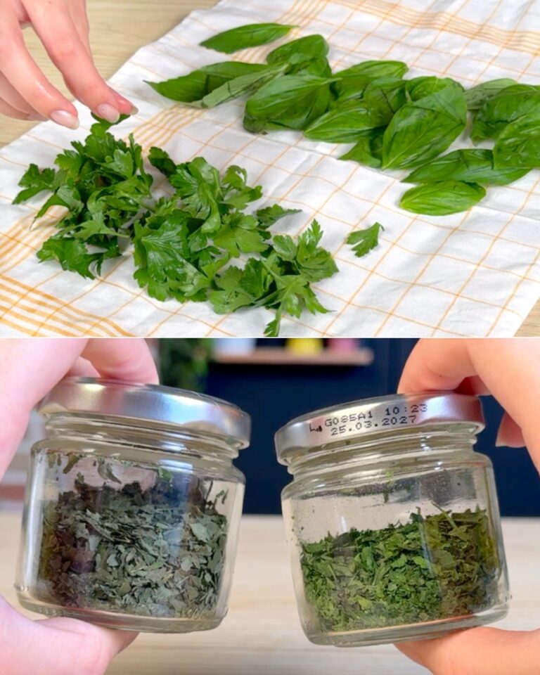Il trucco per avere a disposizione le erbe aromatiche tutto l’anno: basta il microonde