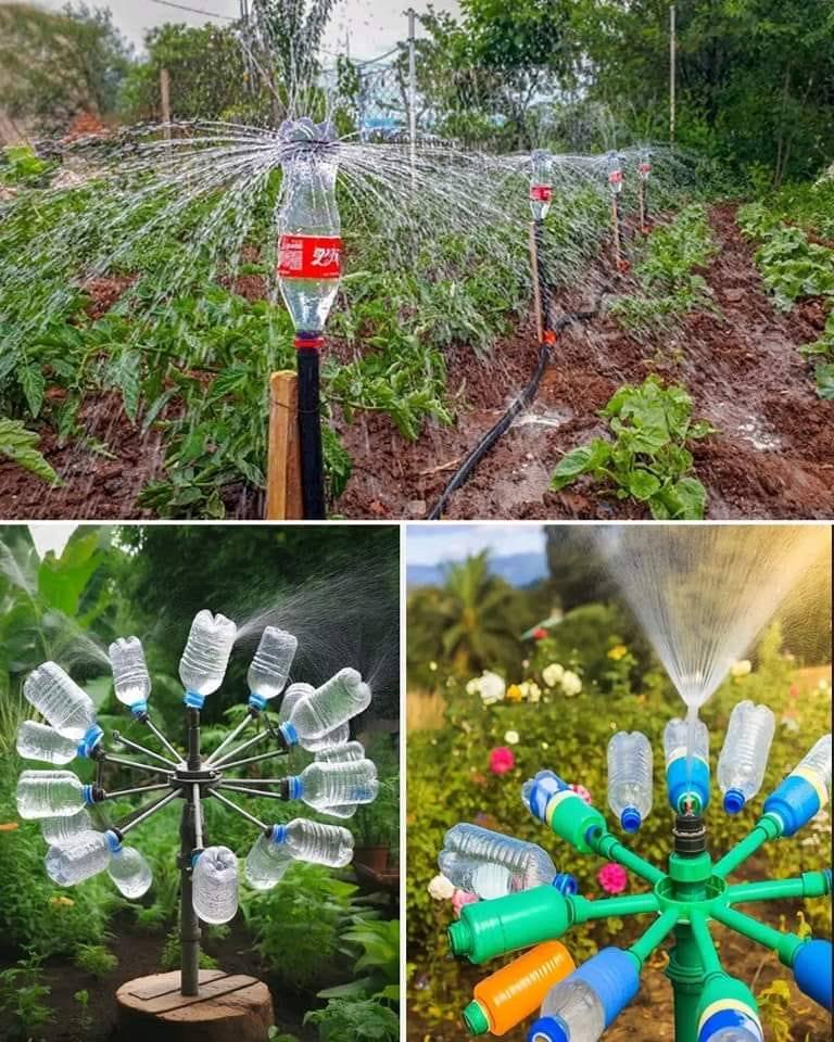 Come realizzare un sistema di irrigazione rotante utilizzando bottiglie di plastica: bastano 10 centesimi