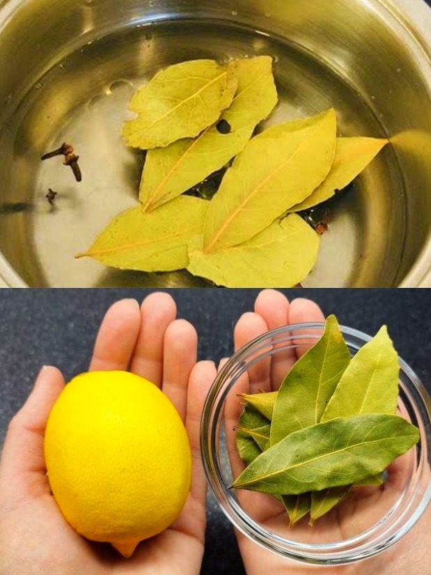 Profumare la Casa in Inverno: Il Segreto delle 3 Foglie di Alloro