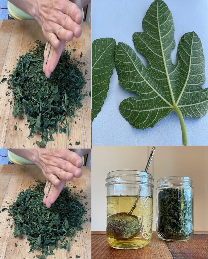 Il potere delle foglie di fico: diversi benefici nascosti in queste foglie