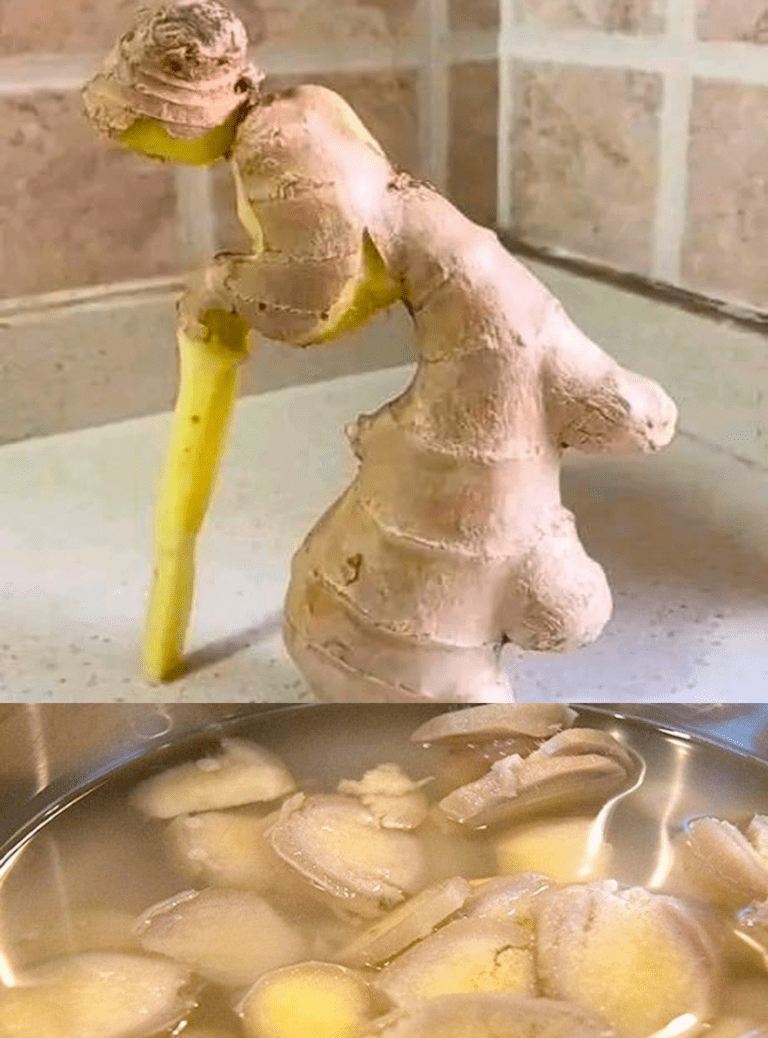 Il potere dello zenzero: l'aspetto di un vecchio, la forza di un antico rimedio