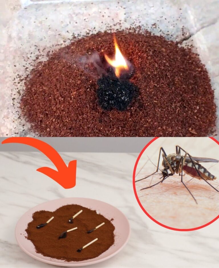 Fondi di caffè sui davanzali: risolve un problema molto comune