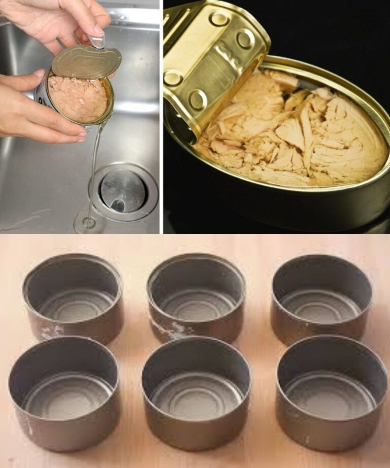 SCATOLETTE DI TONNO: IDEE INASPETTATE PER RIUTILIZZARLE IN MODO CREATIVO E UTILE