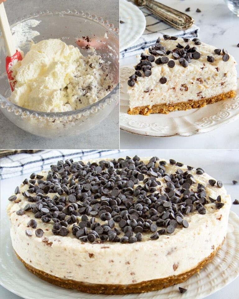 Cheesecake alla ricotta: la ricetta del dessert senza cottura facile e goloso