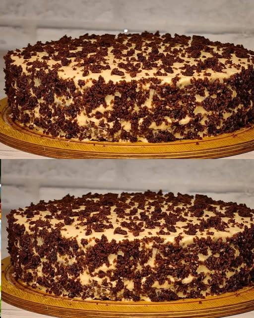 Bizcocho de Chocolate con Crema