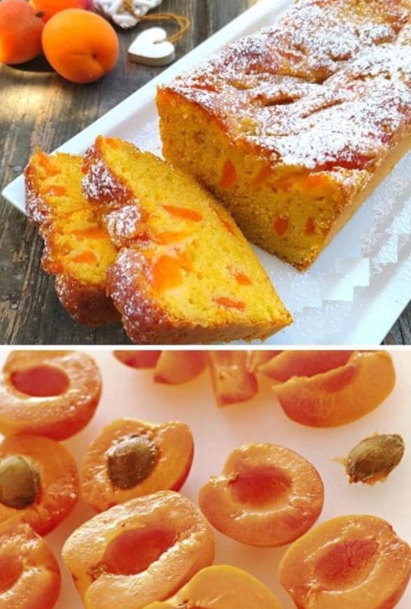 Torta allo yogurt e albicocche, morbidissima