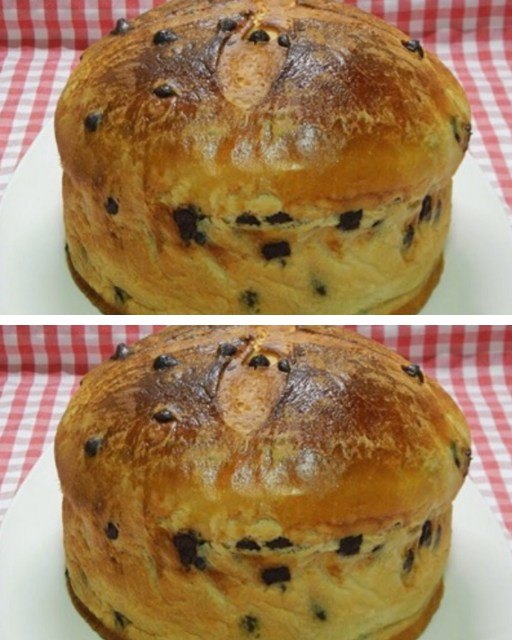 Come fare il panettone natalizio fatto in casa, semplicissimo!