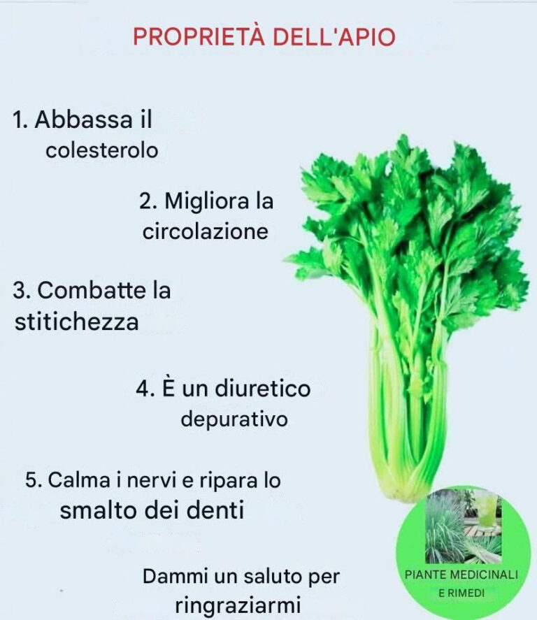 Se mangi sedano ogni giorno, questo può succedere al tuo corpo