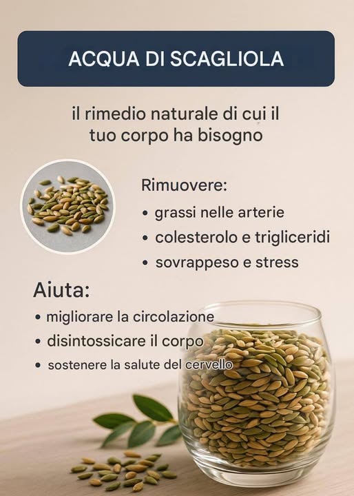 Scopri il potere trasformativo del frullato di semi di uccelli: il tuo alleato completo per la salute e il benessere