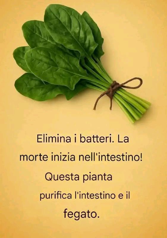 Alimenti che aiutano a depurare il corpo
