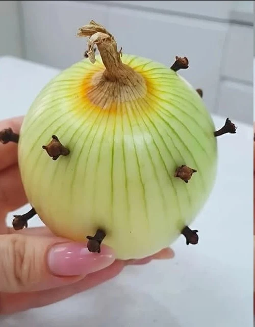 ¿Por qué mi abuela francesa siempre pone clavos de olor en sus cebollas? ¡Me quedé sorprendido!