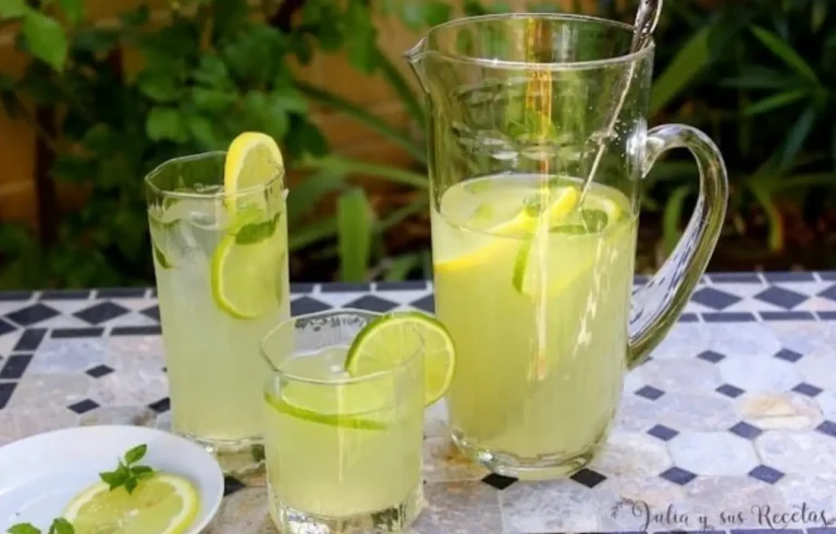 Limonata fatta in casa: una delizia tradizionale