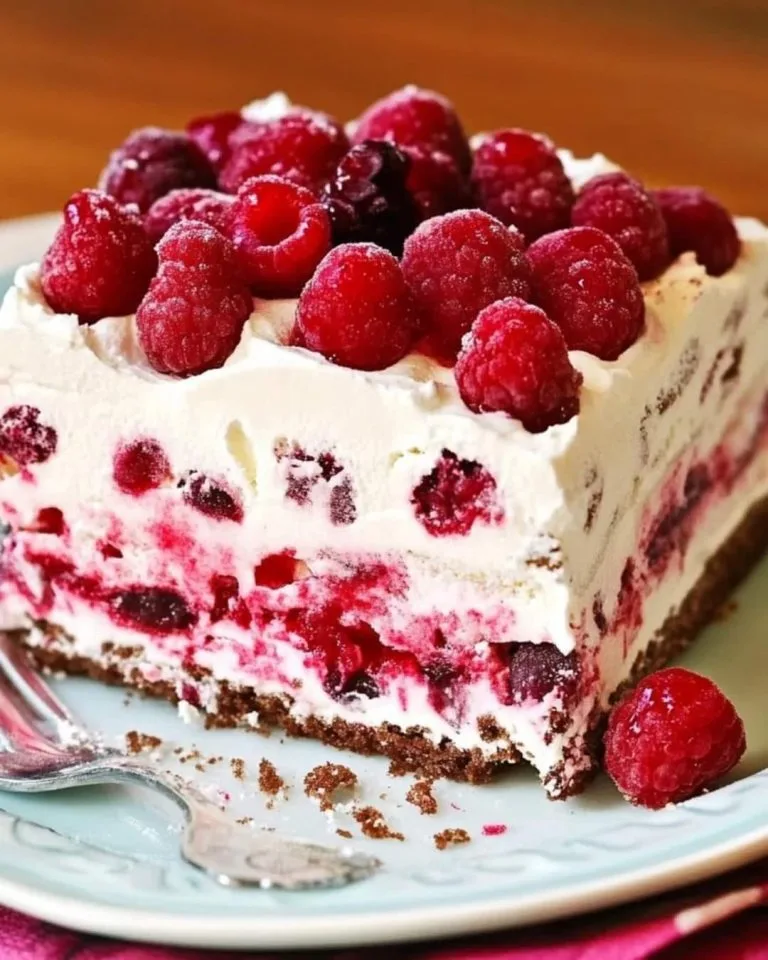 Delicia de pastel helado de chocolate y frambuesa