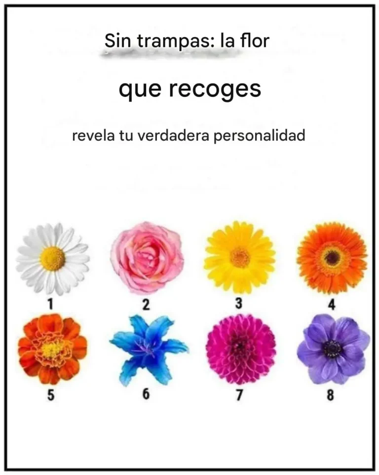 Sin parloteo: la flor que escoges revela tu verdadero rasgo de carácter.