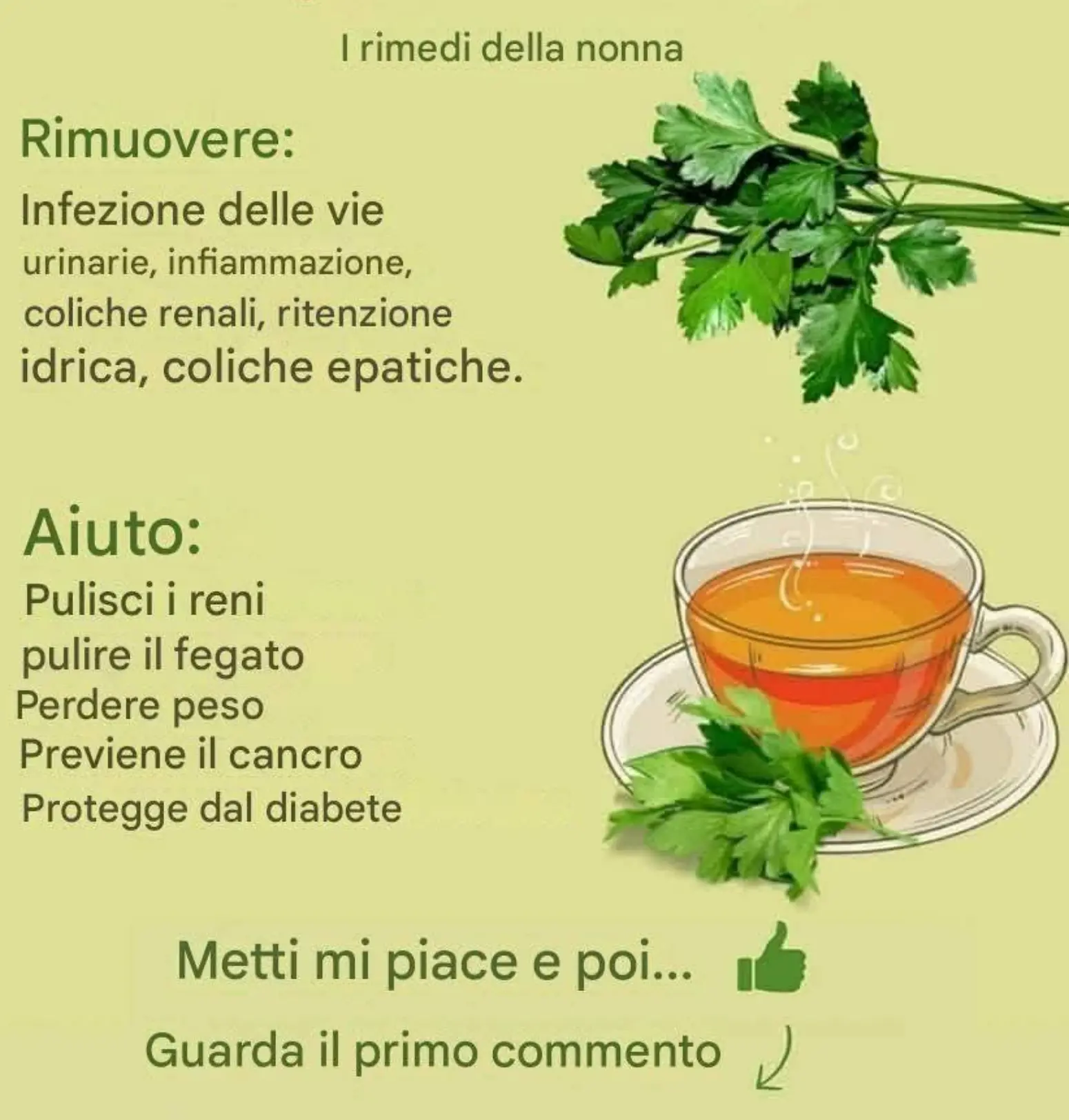 IL MIRACOLO DEL PREZZEMOLO