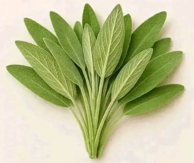 Tutto quello che puoi fare