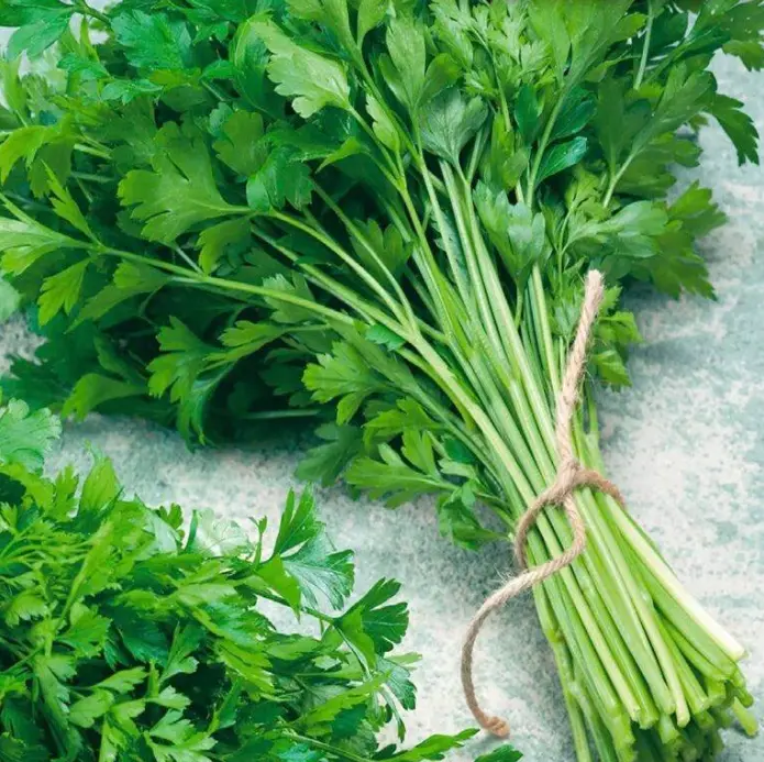 Questa pianta uccide l’86% delle cellule del cancro ai polmoni