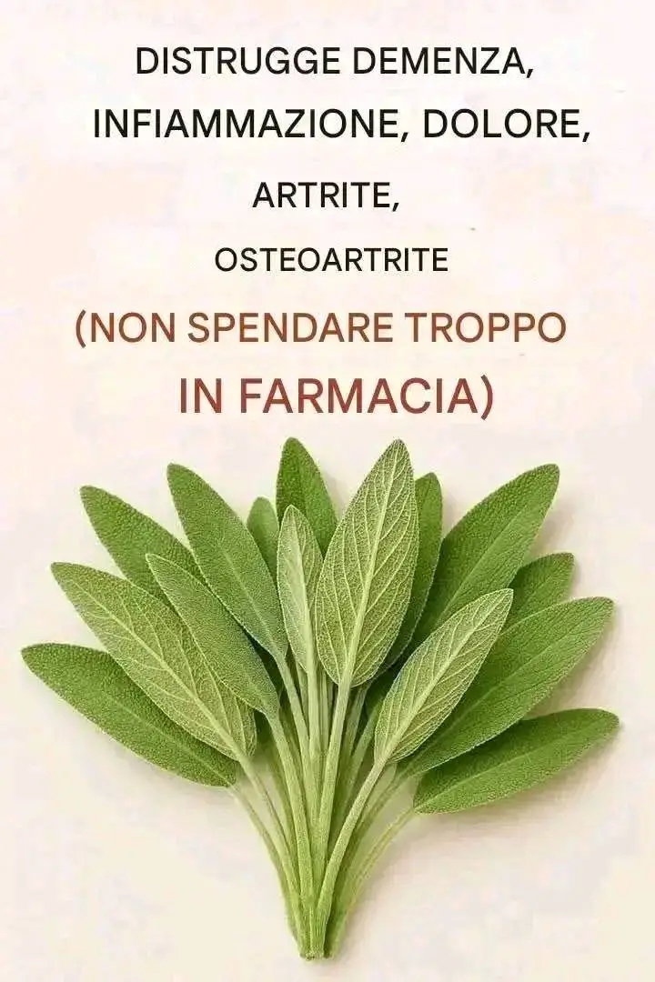 Tutto quello che puoi fare
