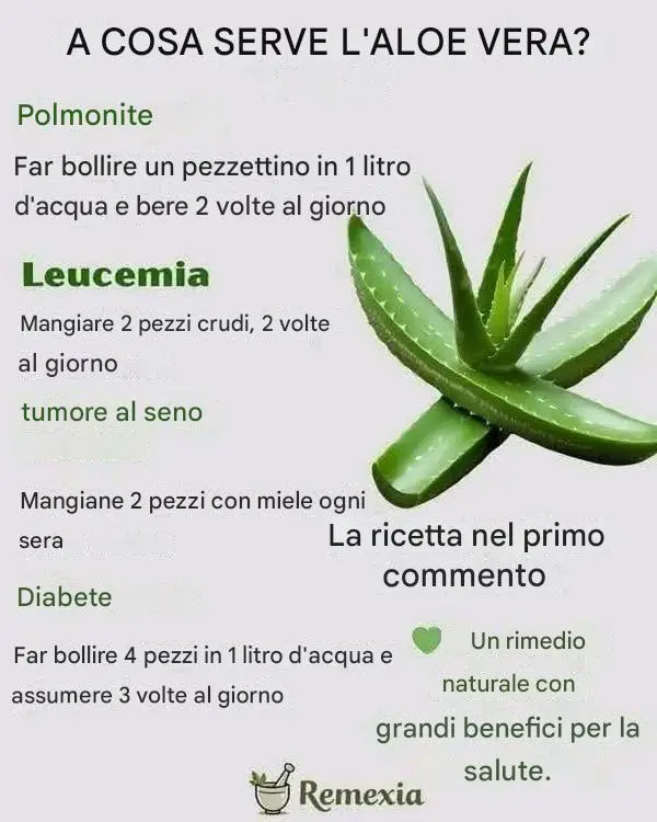 A cosa serve l’Aloe Vera?