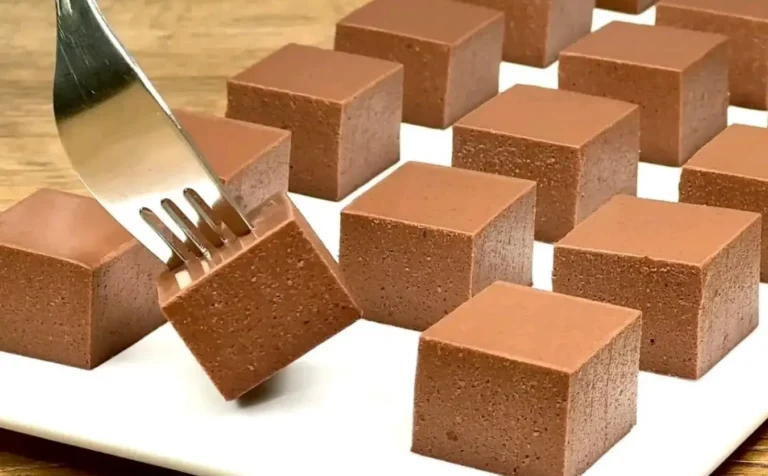 Budino al cioccolato fondente con agar agar