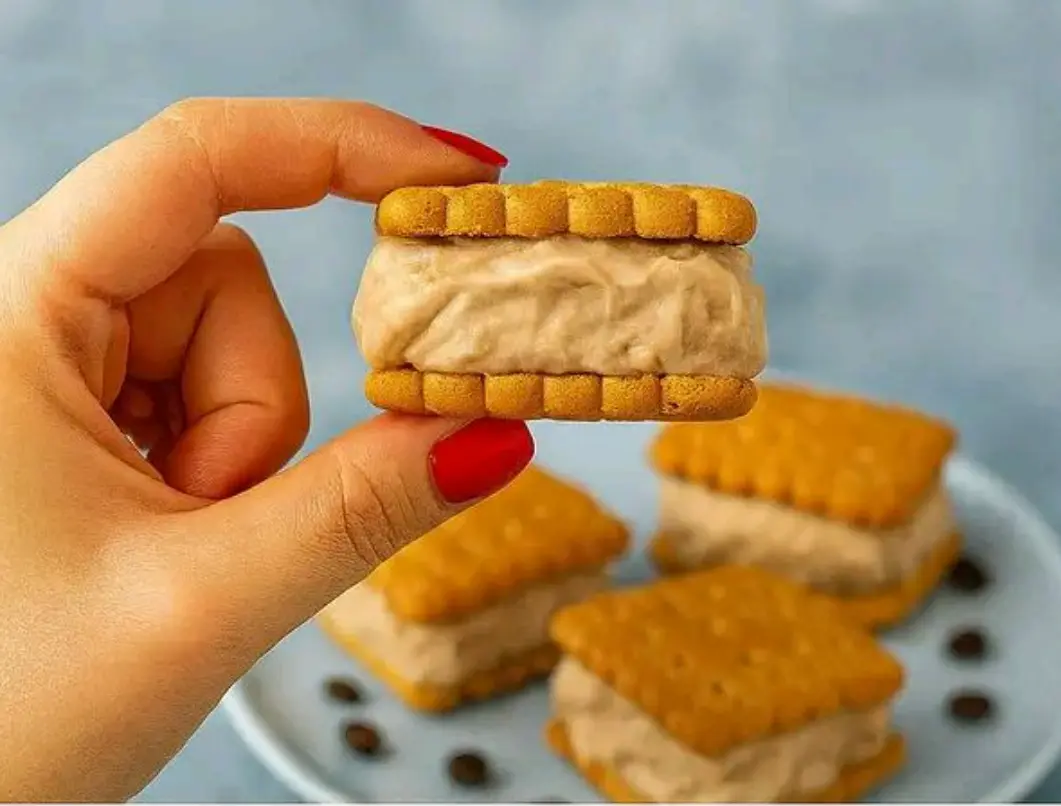 questi biscotti gelato si preparano in 5 minuti