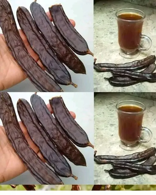 Il frutto quasi dimenticato dalle molteplici virtù la carruba