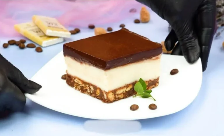 Delizia cremosa al cioccolato e limone