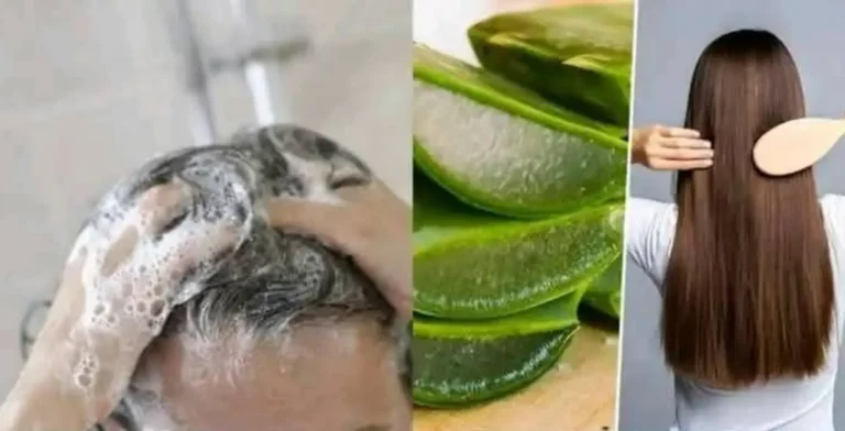 I capelli crescono a dismisura e non cadono! Questo è il rimedio migliore! Aloe Vera per i capelli!