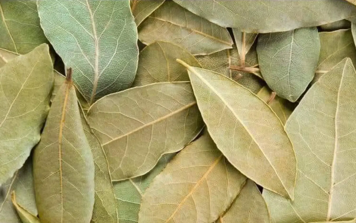 Perdi peso con queste 3 infusioni.