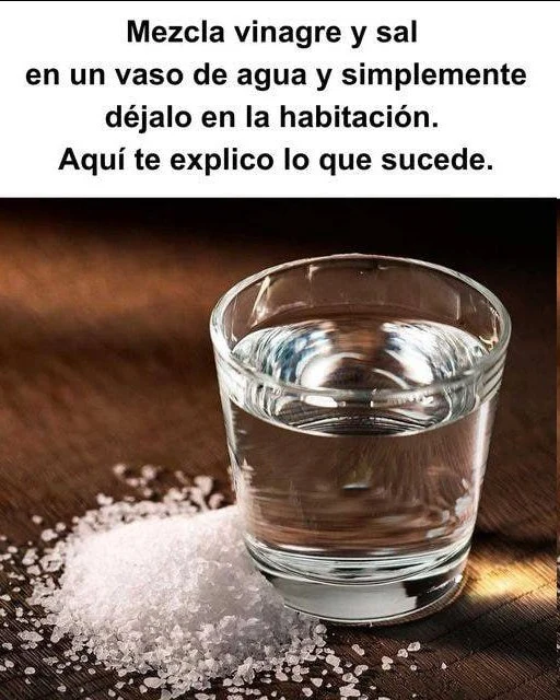Sana el ambiente de tu hogar con agua, vinagre y sal