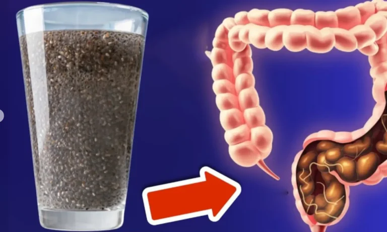Tutte le malattie hanno origine nell’intestino 💥 (ECCO COME PUOI CURARLE) 🤯 – La magia dell’acqua di semi di chia!