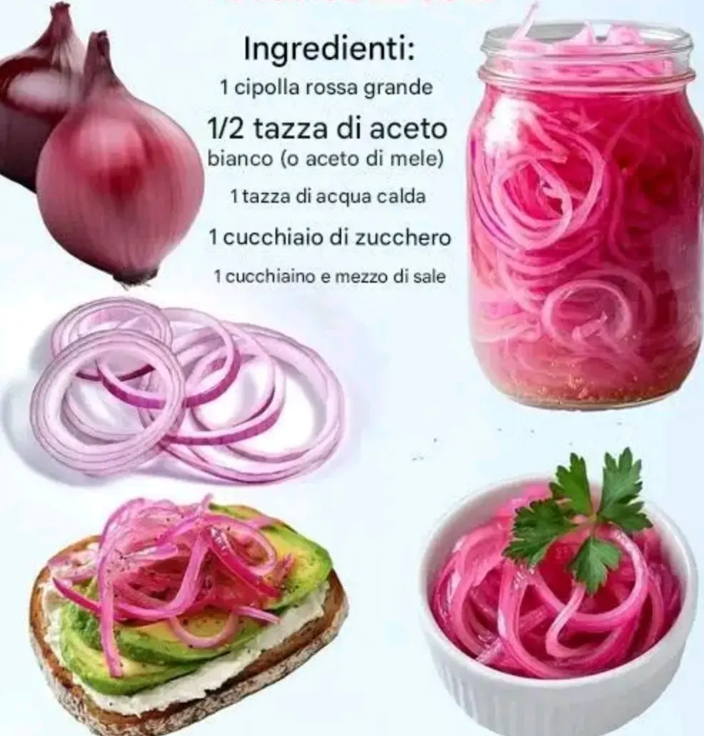 Cipolle Rosse Sottaceto Croccanti fresche e aromatiche