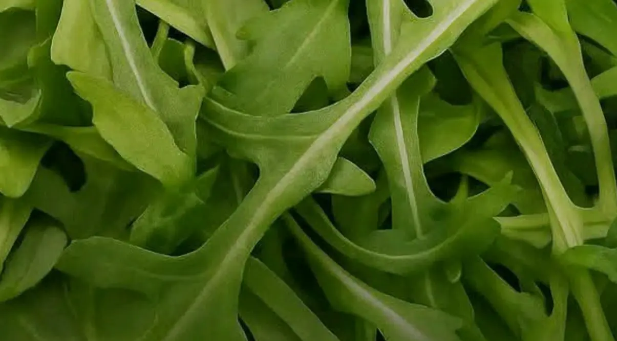 La rucola pizzica? È un buon segno!