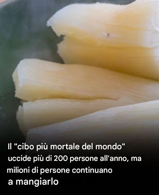 Il cibo più letale al mondo uccide 200 persone all’anno.